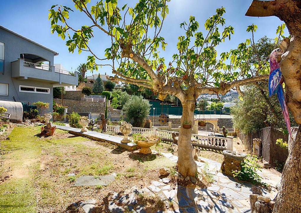 PHOTO-2020-11-12-11-42-26 (1)